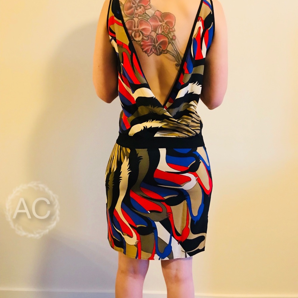 Cynthia Vincent Print Drop Waist Dress 100% Silk